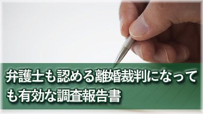 探偵各務原　浮気調査各務原　離婚裁判に有効な報告書報告書サンプル